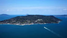 のこのしまアイランドパークのコスモス 2026