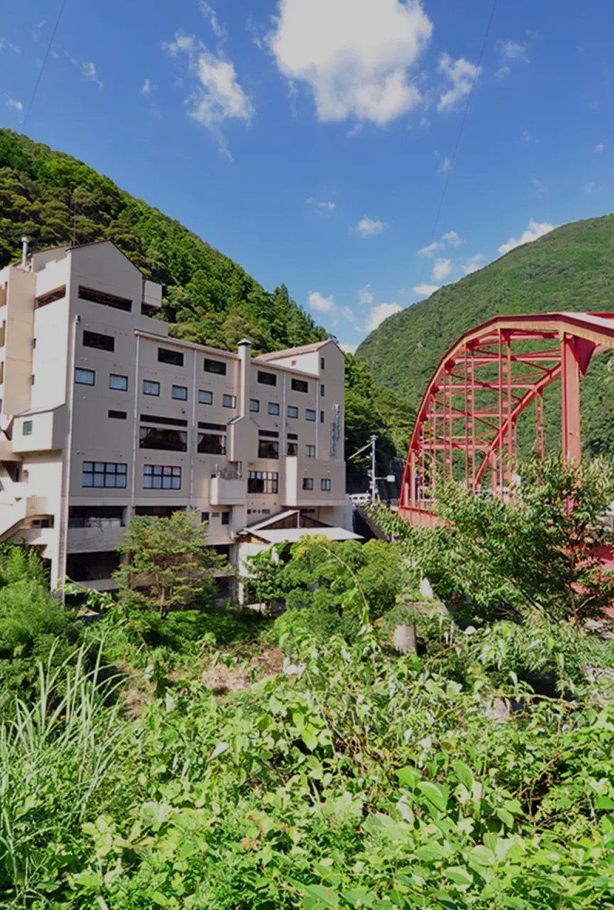 大歩危峡観光遊覧船と紅葉 2026