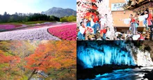 三十槌の氷柱「大滝氷まつり」 2027