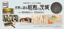 茨城県立歴史館 いちょう並木 2026