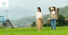 あつぎ飯山花の里秋のざる菊まつり 2026