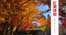 上田城跡公園の紅葉 2026