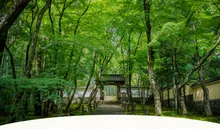 地蔵院の紅葉と寺宝展 2026