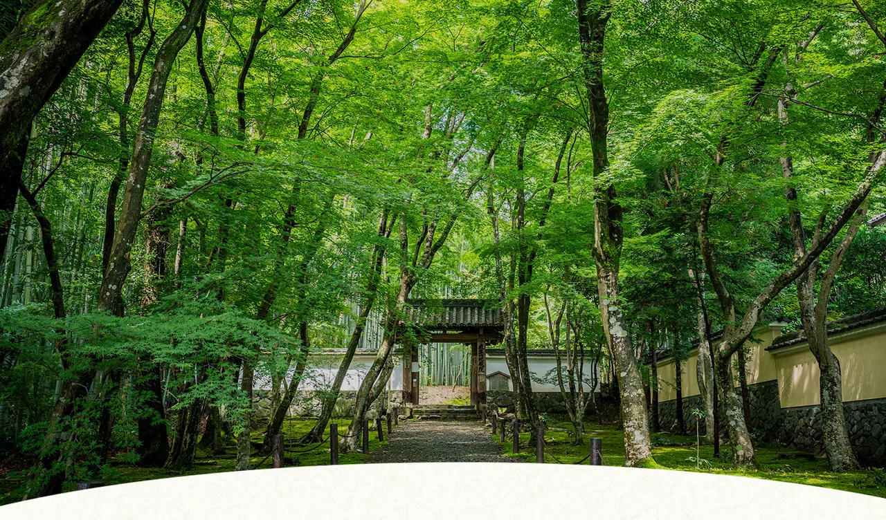 地蔵院の紅葉と寺宝展 2026