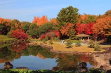 ふじおか紅葉まつり2026