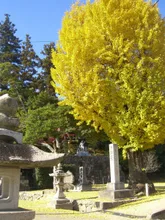 備後一宮吉備津神社 市立大祭 2026