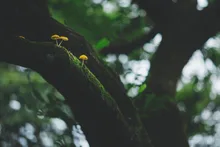 作並温泉の紅葉 2026