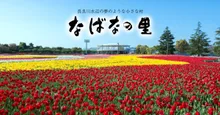 なばなの里 秋の花まつり 2026