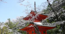 紀三井寺 開山忌 2026