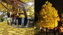 つつがふるさとまつり・つつが神楽祭 2026