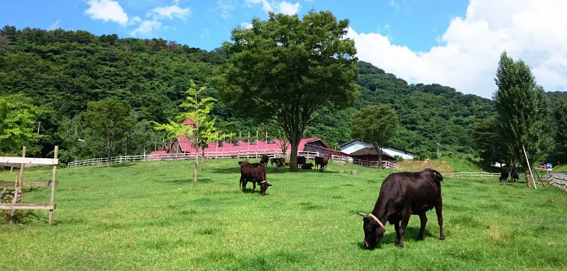 但馬牧場公園 年始の催し 2027