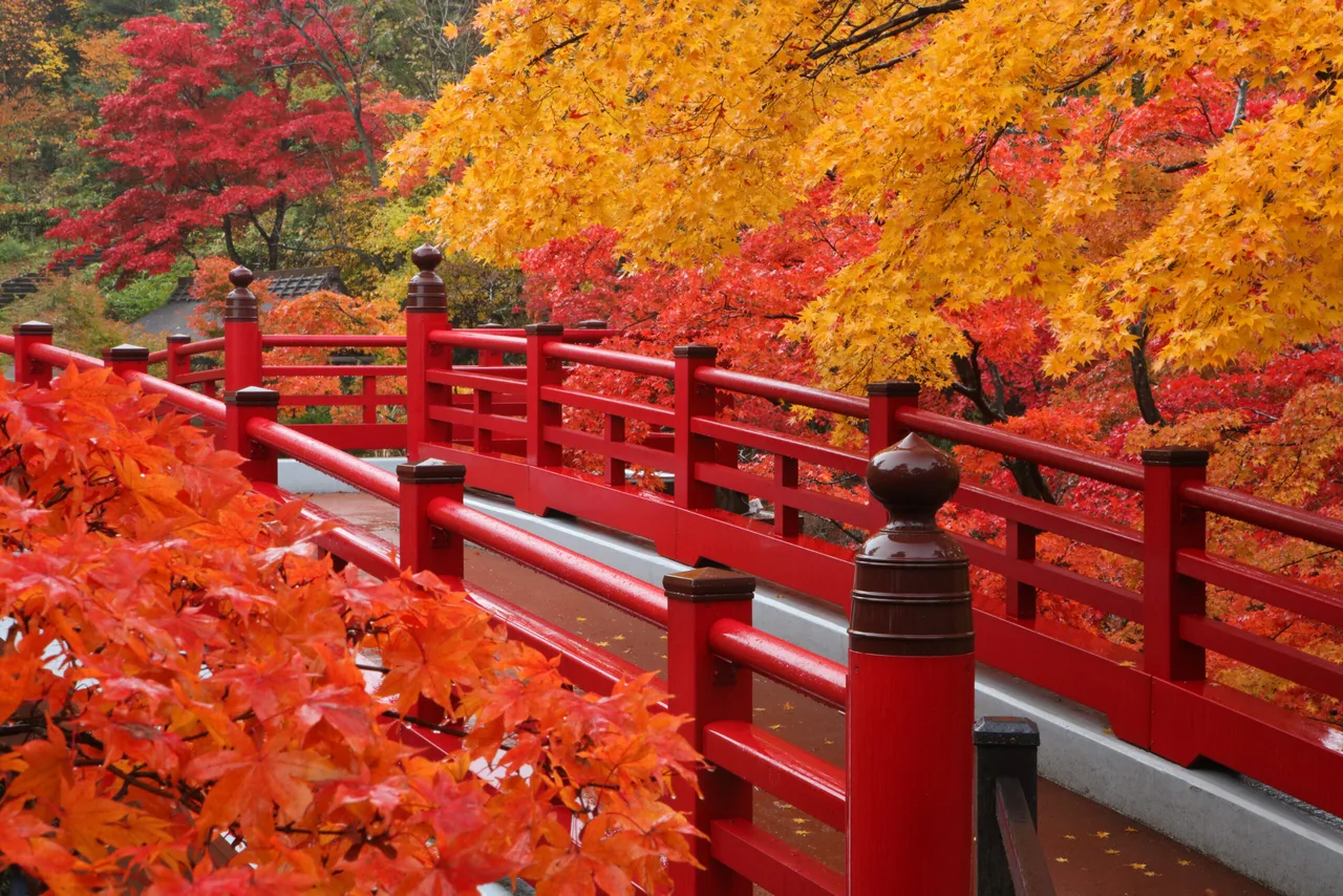 弥彦公園の紅葉 2026