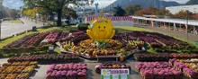 たけふ菊人形 2026