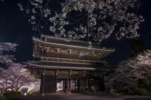 紀州根来寺かくばん祭り 2026