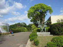 岡崎市制110周年記念事業　はしもとみお木彫展　いきものたちとの旅　2026年度秋季企画