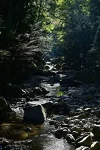 くらがり渓谷紅葉まつり 2026