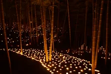 【2026】いずみマチ・テラス～竹灯籠でつなぐ光の祭典～