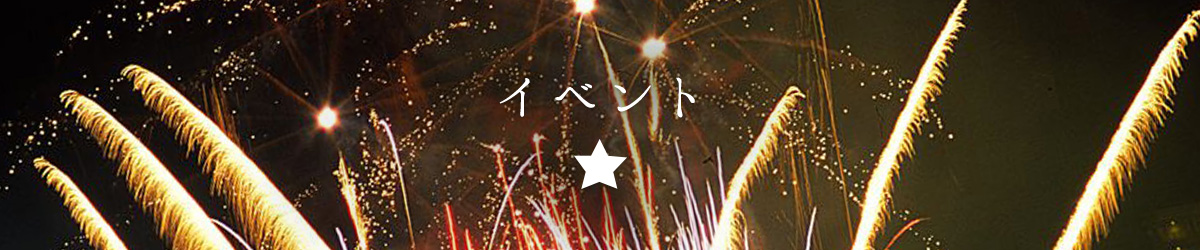 下呂温泉まつり「花火ミュージカル夏公演」2026