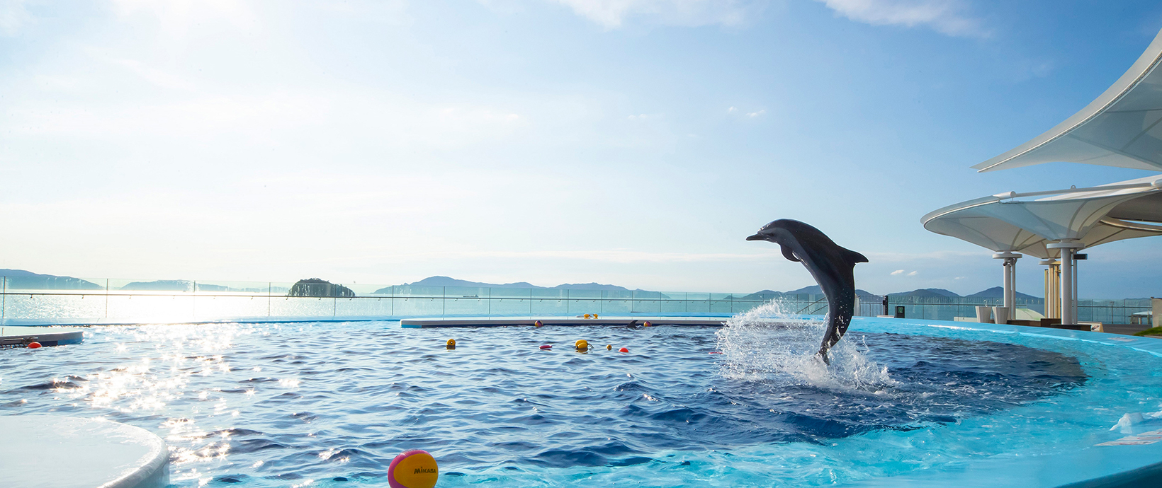 四国水族館 夏の特別企画2026