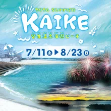 米子がいな祭 2026