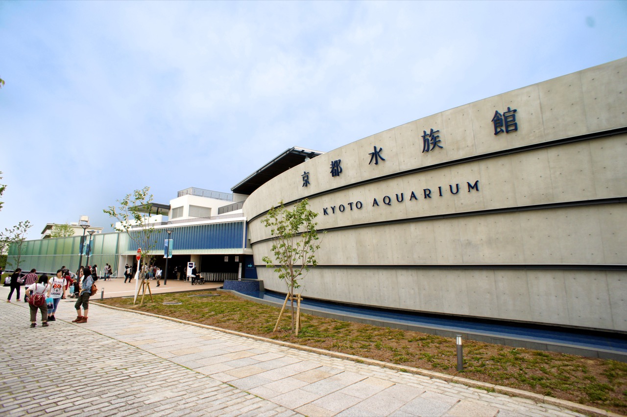 京都水族館 夏のナイトアクアリウム2026