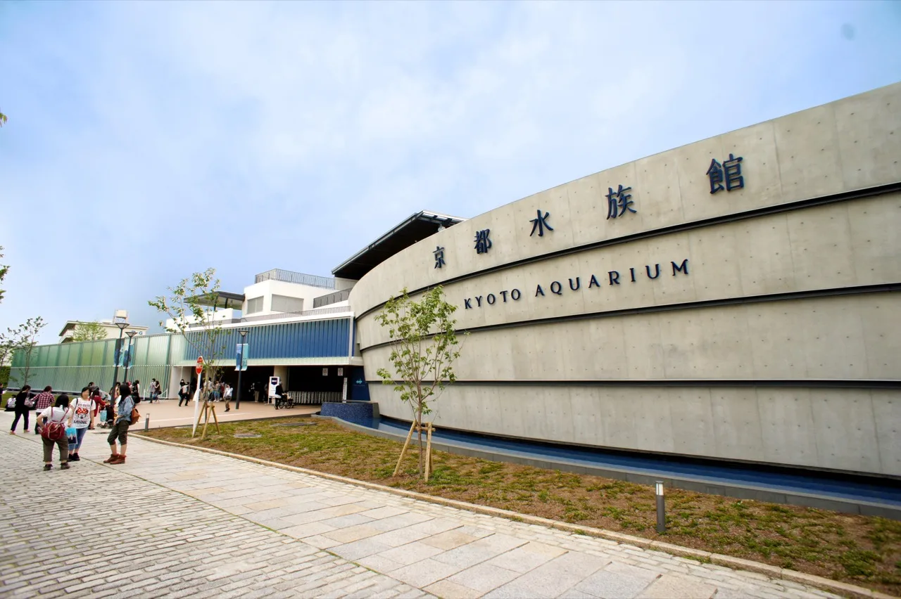 京都水族館 夏のナイトアクアリウム2026