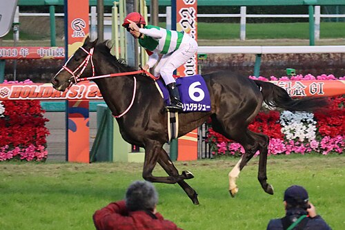 有馬記念 2027(第72回グランプリ)