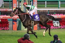 有馬記念 2027（第72回グランプリ）