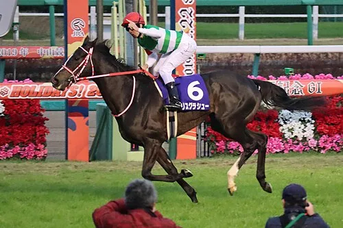 有馬記念 2027(第72回グランプリ)