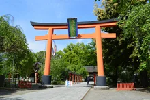 平野神社 桜花祭 2027