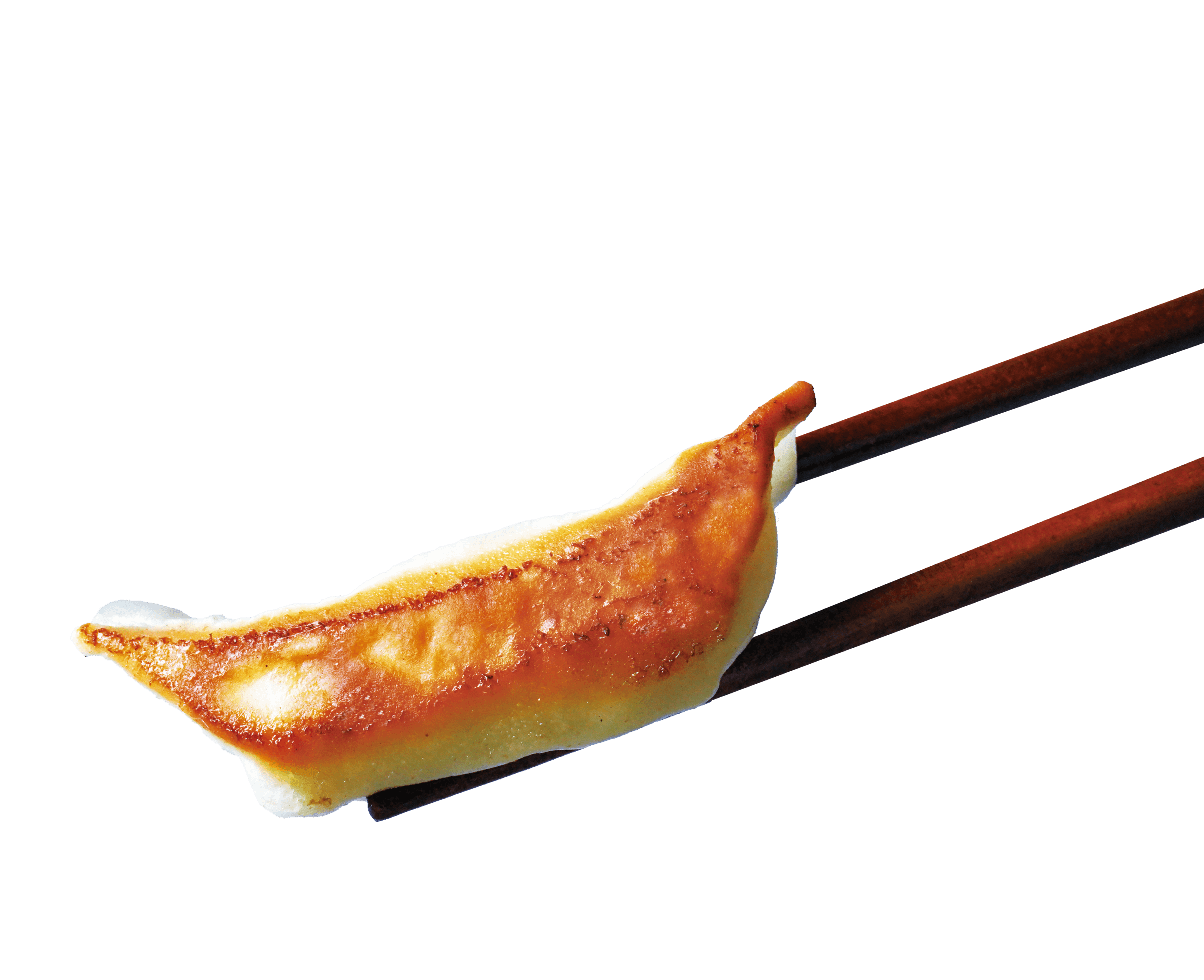 宇都宮餃子祭り2026