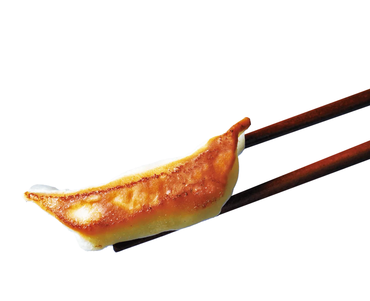 宇都宮餃子祭り2026