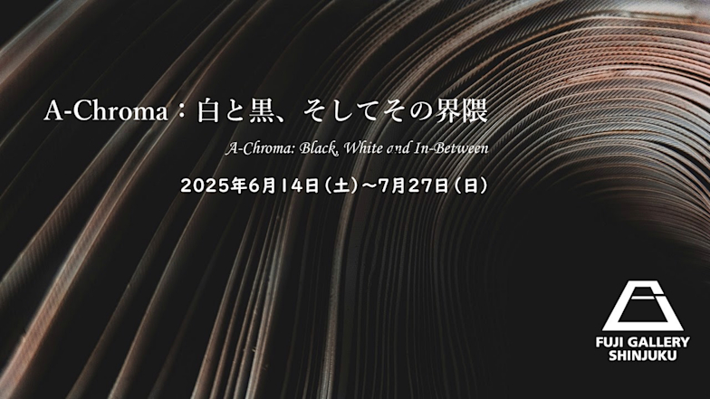 「A-Chroma:白と黒、そしてその界隈」