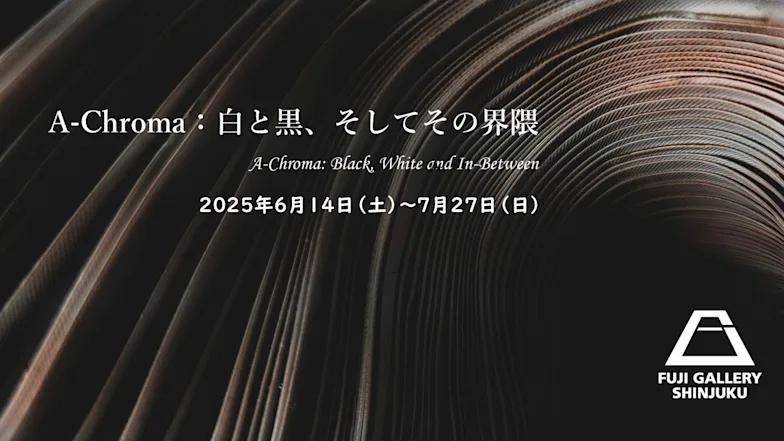 「A-Chroma:白と黒、そしてその界隈」