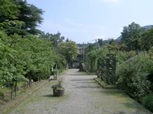箱根強羅公園「オータムアフタヌーンティーと秋限定スイーツ」