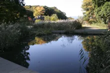 県立座間谷戸山公園　「定例 自然観察会」