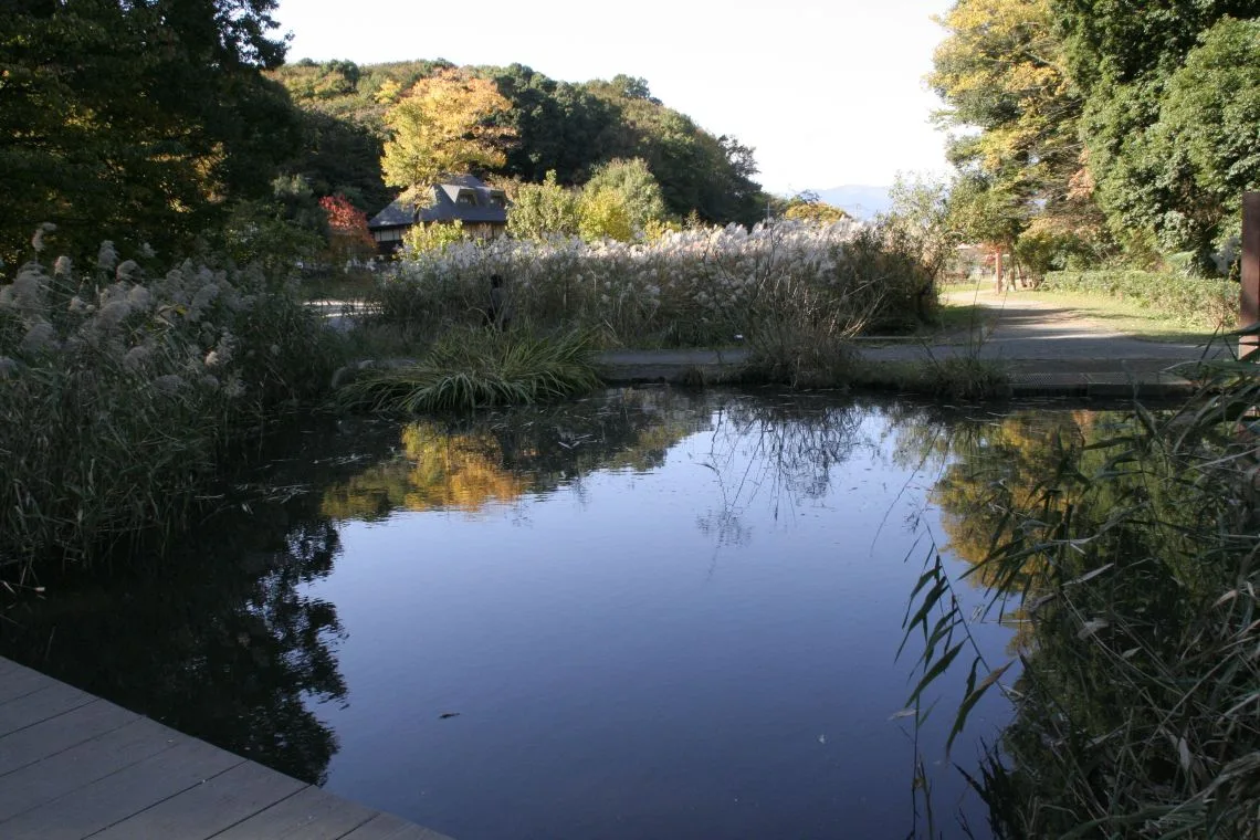 県立座間谷戸山公園 「定例 自然観察会」