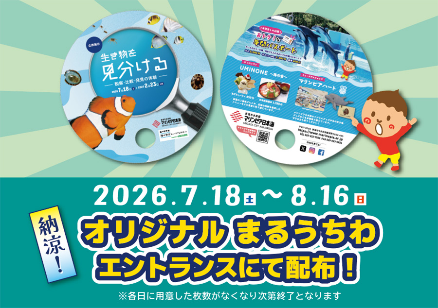 新潟市水族館 マリンピア日本海 夏期特別開館2026