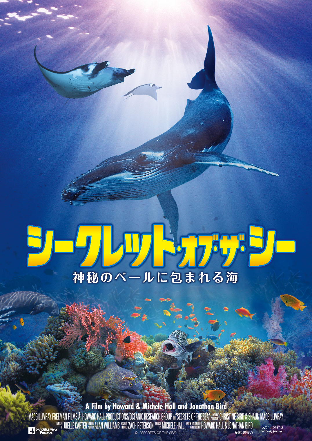 名古屋港水族館 サマーナイトアクアリウム2026【7/20〜8/31】日程