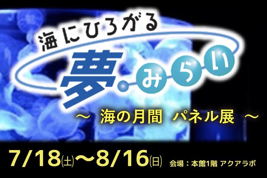 ぎおん柏崎まつり 海の大花火大会2026