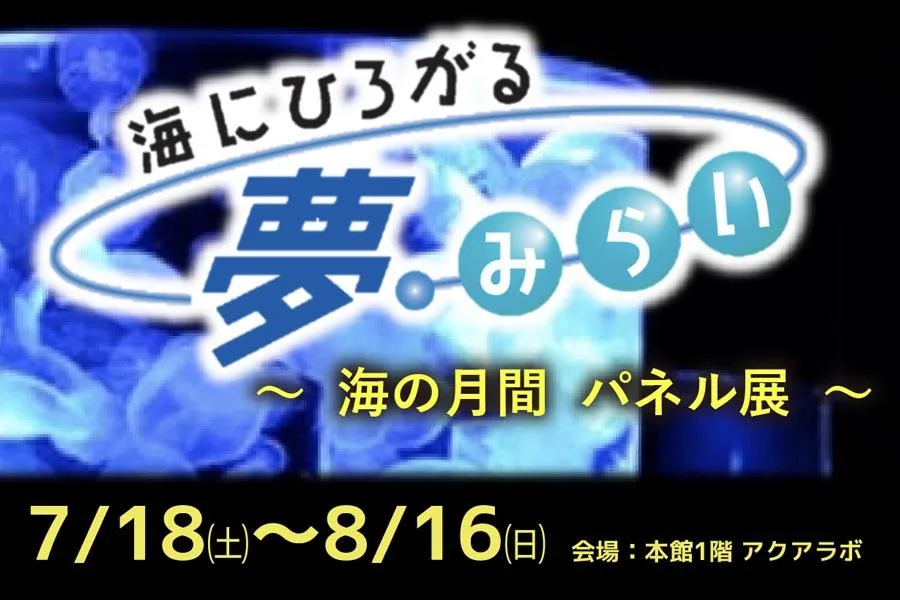ぎおん柏崎まつり 海の大花火大会2026