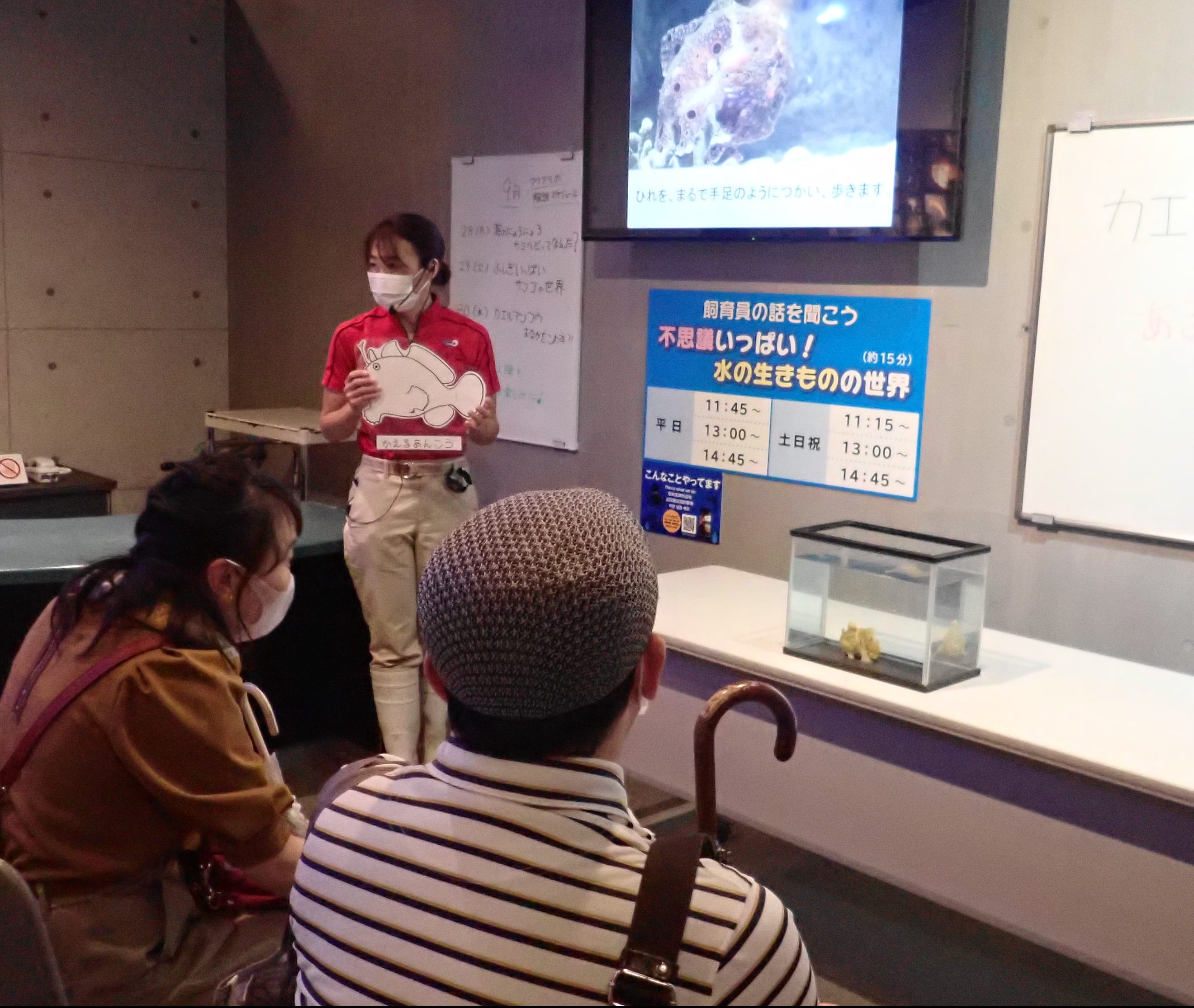 いおワールドかごしま水族館 夜の水族館 2026