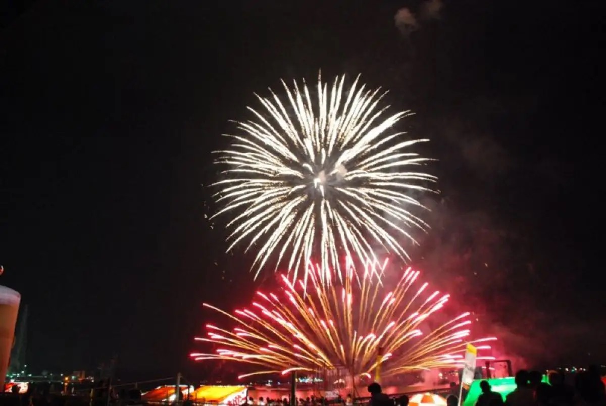 第42回 たけはら夏まつり花火大会