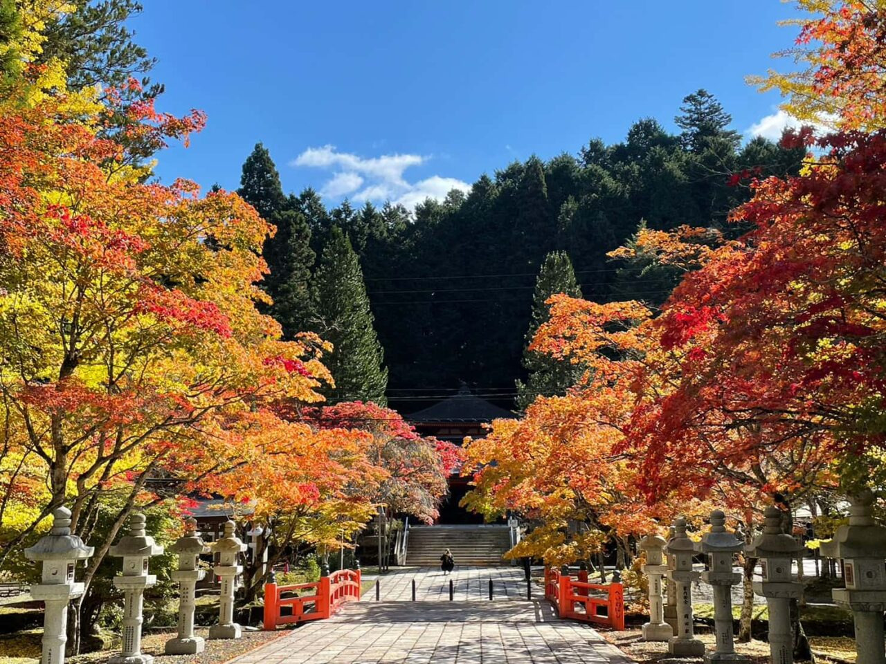 高野山 紅葉と夜間ライトアップ2026