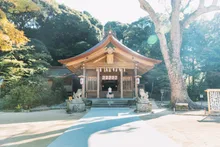 宝満宮竈門神社の紅葉 2026