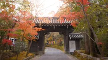 赤山禅院の紅葉 2026