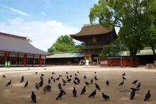 筥崎宮 玉せせり 2027