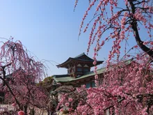 防府天満宮 初詣 2027