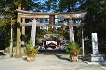 土佐神社 初詣 2027