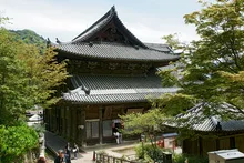 長谷寺 だだおし 2027